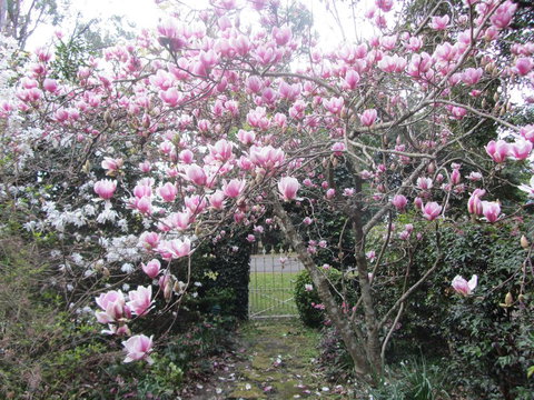 Bellawongarah At Berry - Go Out 1