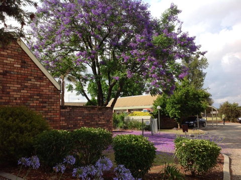 Belvoir Village Motel & Apartments Wodonga - Pubs and Clubs 0