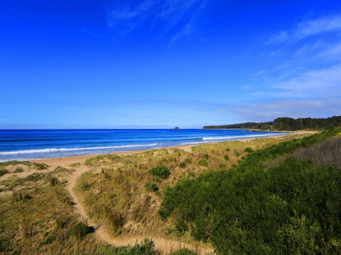 BIG4 South Durras Holiday Park - Pubs and Clubs 1