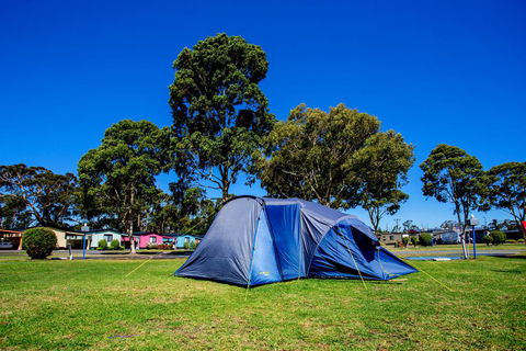 BIG4 Traralgon Park Lane Holiday Park - Go Out 2
