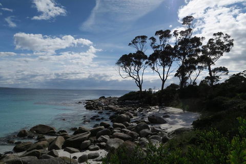 Binalong Bay Beach Shack - Go Out 0