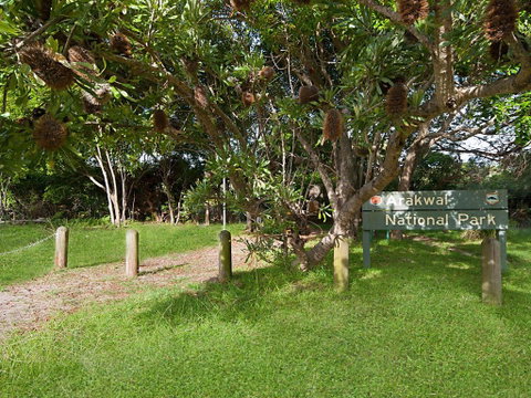 Birdsong Beach House - Pubs and Clubs 2
