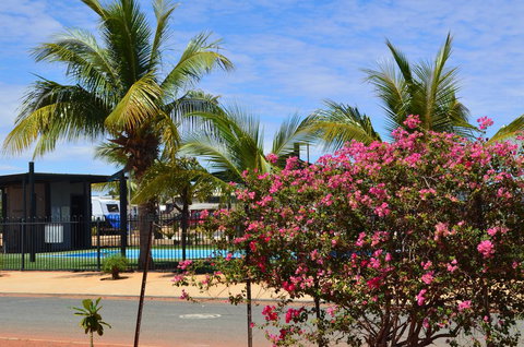 Black Rock Tourist Park - Pubs and Clubs 2