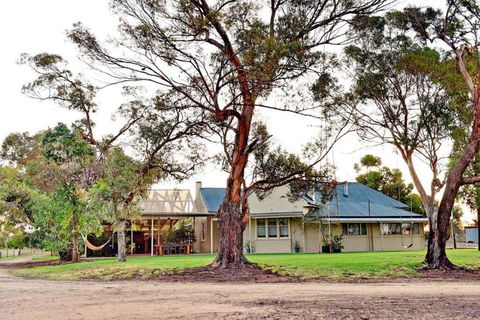 The Jetty House - Lake Frontage Barmera Riverland - Pubs and Clubs 0