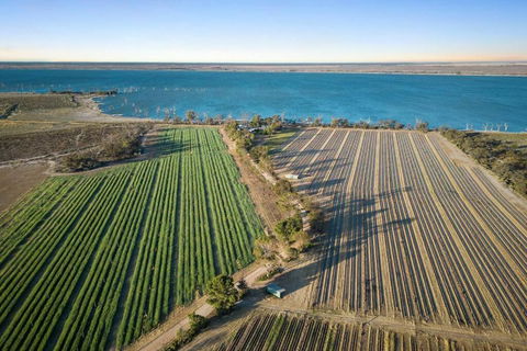 The Jetty House - Lake Frontage Barmera Riverland - Pubs and Clubs 1