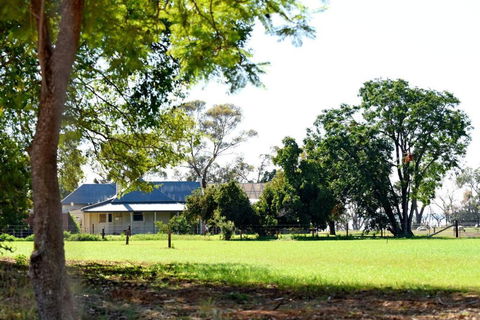 The Jetty House - Lake Frontage Barmera Riverland - Pubs and Clubs 3