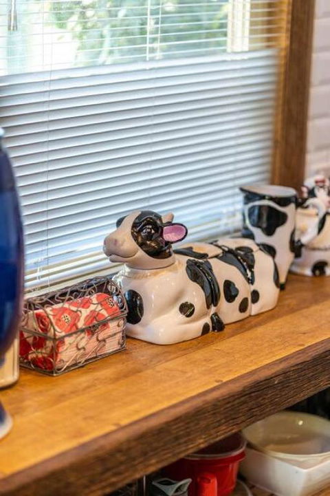 The Spotted Cow,city Fringe,pet Friendly-Free Wine - Pubs and Clubs 2