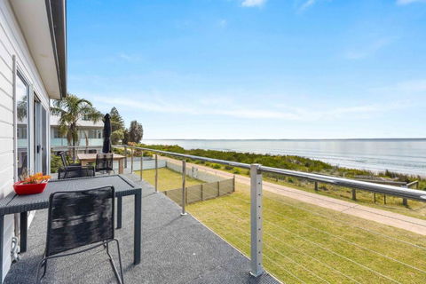 Weedy Seadragon By Experience Jervis Bay - Pubs and Clubs 2