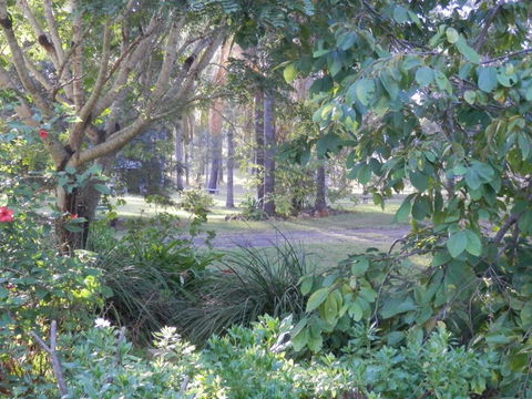 Wondai Hideaway Apartment - Pubs and Clubs 1