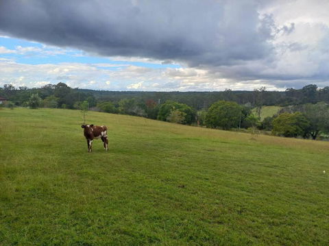 Maison De Lavande Farmstay - Pubs and Clubs 1