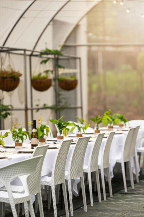 Winston Wallabies Urban Getaway - Pubs and Clubs 2