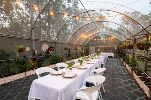 Winston Wallabies Urban Getaway - Pubs and Clubs 3