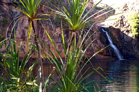 3-Day Kakadu 4WD Camping Safari From Darwin - Pubs and Clubs 2