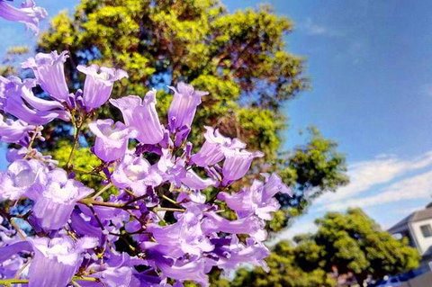 Big Perth (Private) Day Tour - Go Out 3