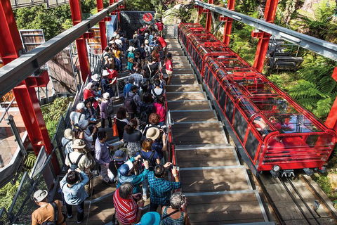 Private Guided Tour: Blue Mountains Tour From Sydney - Pubs and Clubs 1