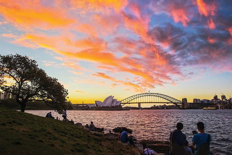 Private Tour: Sydney City Highlights - Pubs and Clubs 3