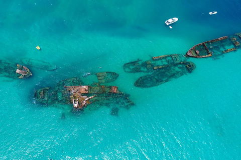Private Tangalooma Wrecks Tour - Pubs and Clubs 0
