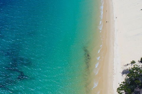 Private Tangalooma Wrecks Tour - Pubs and Clubs 1