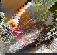 Gay-Wu Woman's 5 Day Yolngu Homeland Tour - Pubs and Clubs