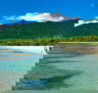 5-Day Best of Cairns with Daintree Kuranda and Great Barrier Reef - Pubs and Clubs