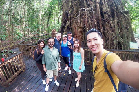 Cairns 4WD Waterfall And Rainforest Tour Including Kuranda Scenic Railway - Pubs and Clubs 0