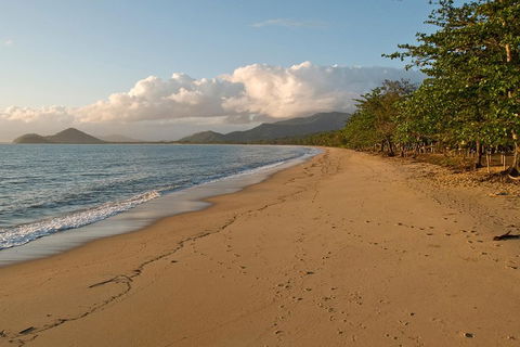 Cairns Reef And Rainforest Combo: Daintree Rainforest And The Great Barrier Reef - Pubs and Clubs 4
