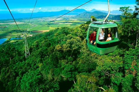 4-Day Cairns Ultimate Combo: Daintree Rainforest, Reef, Kuranda & Paronella Park - Go Out 1