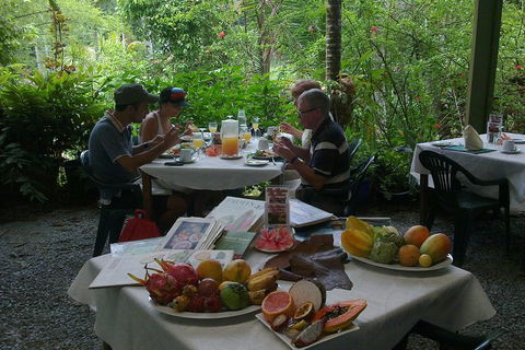 4-Day Cairns Ultimate Combo: Daintree Rainforest, Reef, Kuranda & Paronella Park - Go Out 4