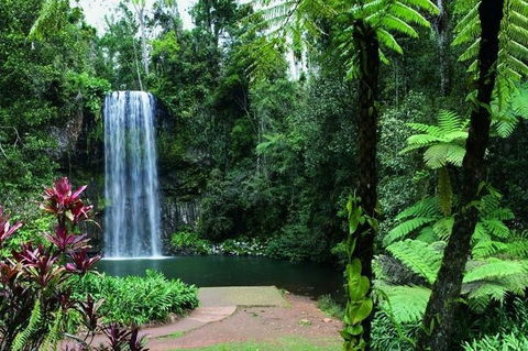 Paronella Park And Millaa Millaa Falls Full-day Tour From Cairns - Go Out 3