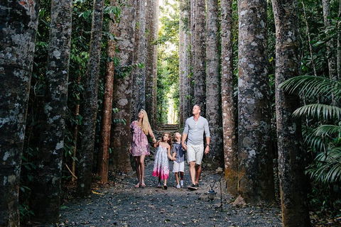 Paronella Park And Millaa Millaa Falls Full-day Tour From Cairns - Go Out 5