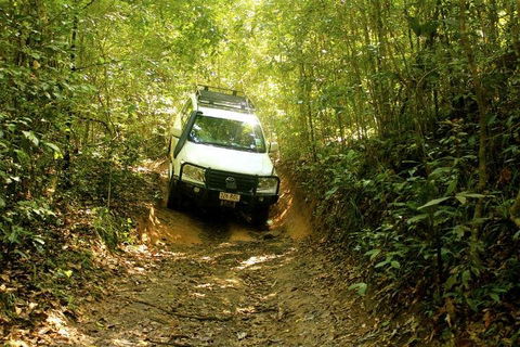 Barron Gorge And Kuranda National Park Half Day Rainforest And Waterfall 4WD Tour From Cairns - Pubs and Clubs 2