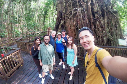 Barron Gorge And Kuranda National Park Half Day Rainforest And Waterfall 4WD Tour From Cairns - Pubs and Clubs 5