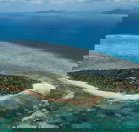 4-Day Cairns with Great Barrier Reef and Daintree Rainforest - Pubs and Clubs