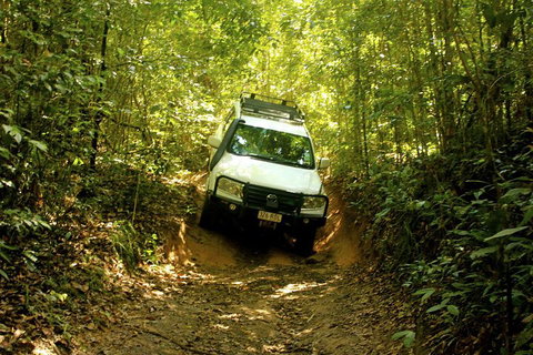 Cairns National Park Rainforest And Waterfall Small Group Tour Shore Excursion - Pubs and Clubs 0
