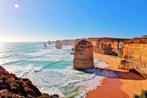 Cruise Ship Shore Excursion - Private Great Ocean Road Full Day Tour (12 Hour) - Go Out 2