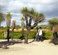 1 Day Exclusively Private Tour Of Phillip Island  The Penguin Parade - Pubs and Clubs