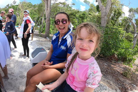 Whitehaven Beach Day Tour With Snorkel In Whitsundays Island - Pubs and Clubs 1