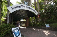 Kuranda Day Trip from Port Douglas upgrade to Skyrail Scenic train available