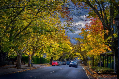 Small Group Adelaide Hills And Hahndorf Hideaway Tour From Adelaide - Pubs and Clubs 1
