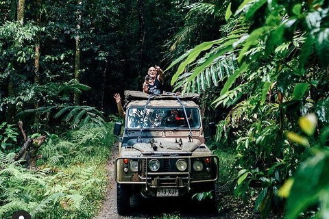 Full Day Tour In The Daintree - Pubs and Clubs 4