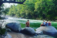 Afternoon Half-Day Daintree Rainforest and River Tour, Port Douglas
