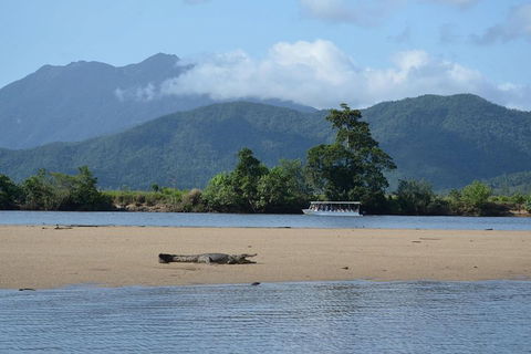 Afternoon Half-Day Daintree Rainforest And River Tour - Pubs and Clubs 2