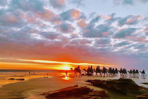 1 Hour Broome Sunset Camel Tour - Pubs and Clubs 0