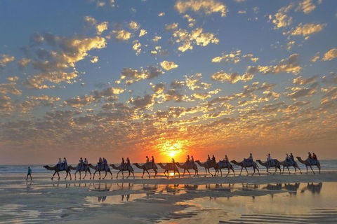 1 Hour Broome Sunset Camel Tour - Pubs and Clubs 1
