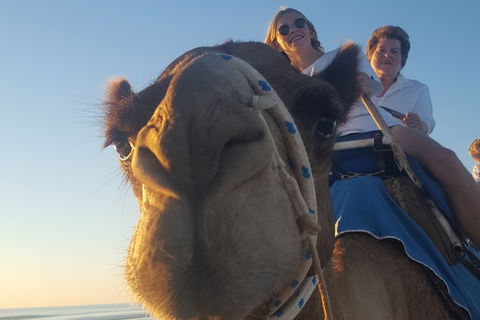 1 Hour Broome Sunset Camel Tour - Pubs and Clubs 4