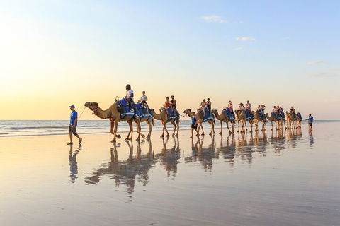 1 Hour Broome Sunset Camel Tour - Pubs and Clubs 5
