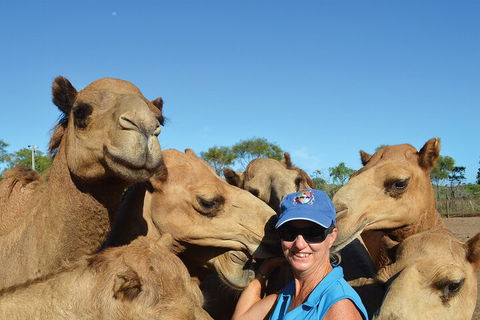 Broome Pre-sunset Camel Tour 30 Minutes - Pubs and Clubs 0