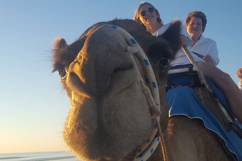Broome Pre-sunset Camel Tour 30 Minutes - Pubs and Clubs 1