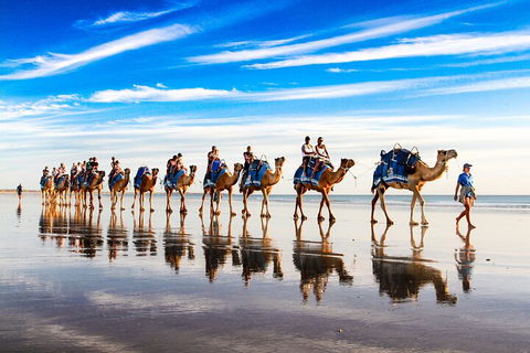 Broome Pre-sunset Camel Tour 30 Minutes - Pubs and Clubs 2