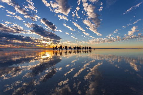 Broome Pre-sunset Camel Tour 30 Minutes - Pubs and Clubs 4
